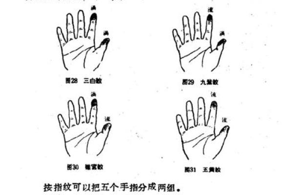 指纹算命图谱