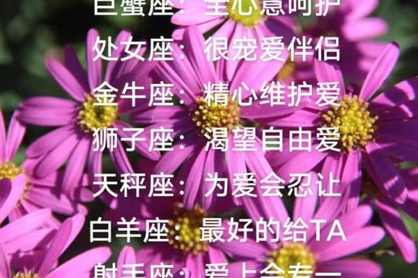 双子座和什么星座当好朋友最合适