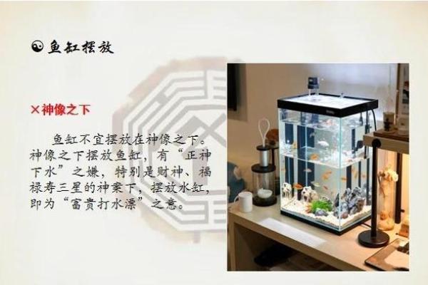 厕所风水：这样做，让你不漏财