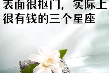 看似呆头木脑 其实心里比谁都精明的星座