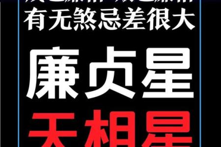 人生紫薇斗数