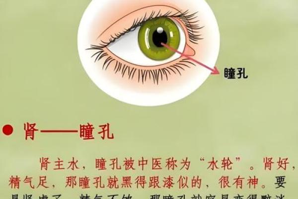 风水八大禁忌，保护好风水之眼
