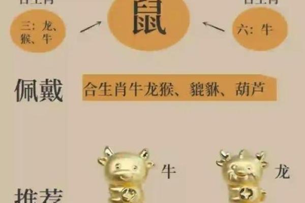 2024年对生肖鼠好不好，属鼠人在2024年的有利方位解析
