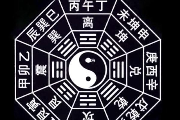 紫微斗数之八卦万物类象：巽卦详解
