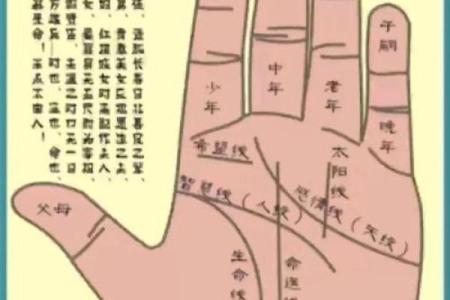 详细分析：手掌中的指纹预测算命，快来算算你的运势如何！