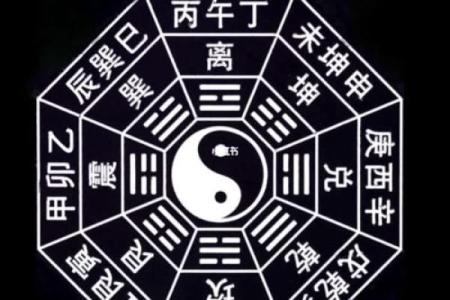 紫微斗数之八卦万物类象：巽卦详解