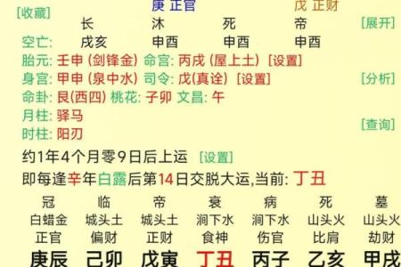 美女八字算命大全