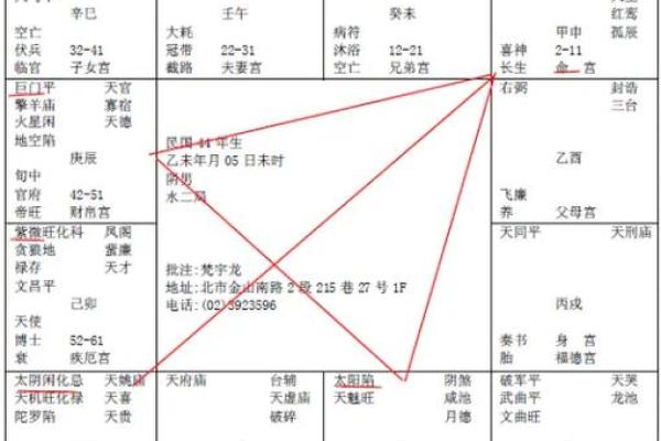 什么样的八字才算是紫薇星命