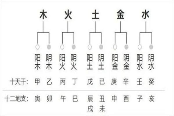 八字四柱代表