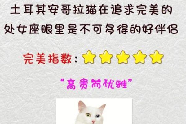 哪个星座最喜欢养动物的