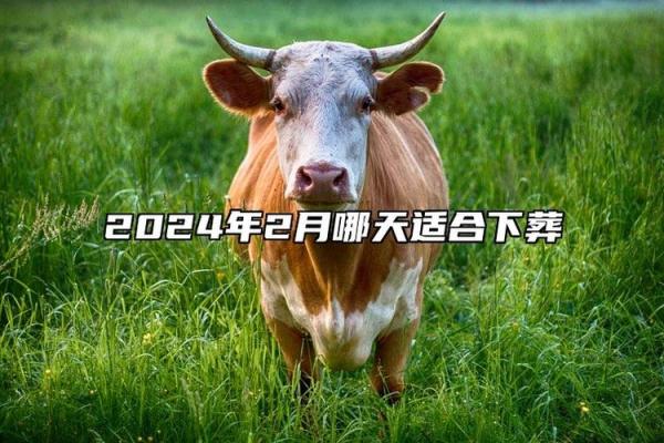 下葬吉日2024年12月