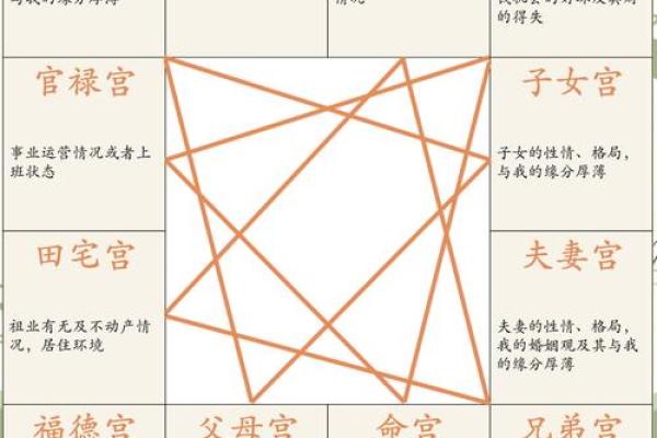 紫薇斗数的官禄宫