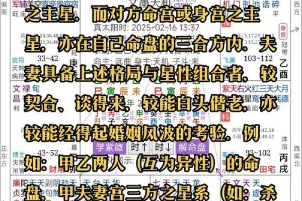 关于紫薇斗数软件安卓破解版的信息