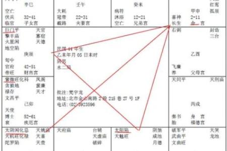 什么样的八字才算是紫薇星命
