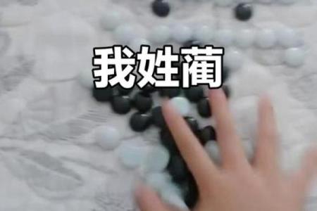 姓蔺的名人-姓名学-华易算命网姓名