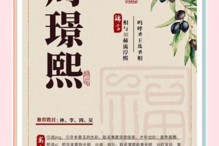 熙起名忌讳风水
