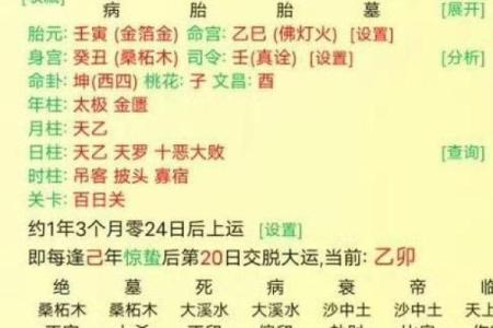 解析八字命盘，掌握旺食旺，提升个人运势