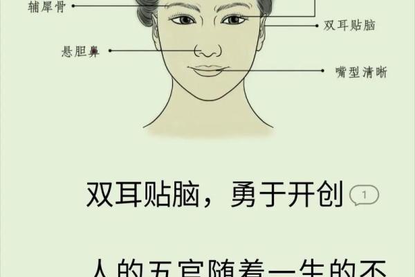 耳朵算命耳朵看运势大全,耳朵命运图解