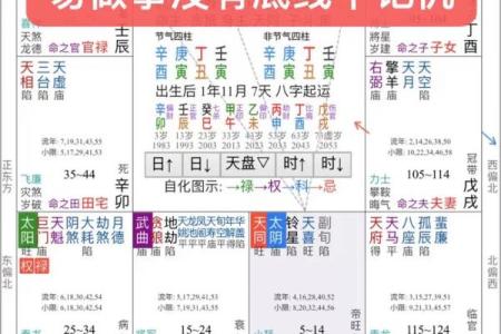 紫薇斗数紫薇命数准吗