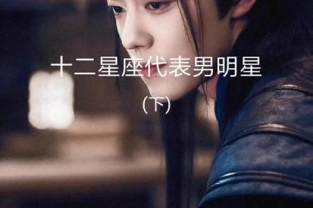 12星座适合嫁的明星老公测试