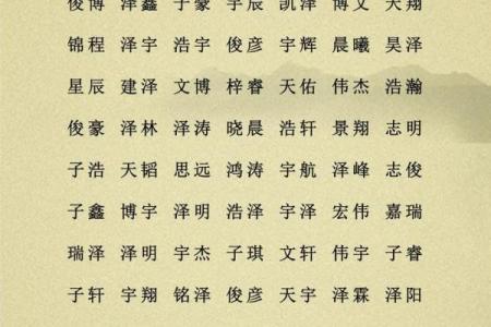 2019年5月15号寅时出生的男孩如何起名姓名