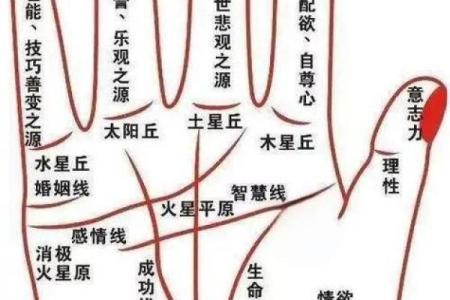 怎么用手算命