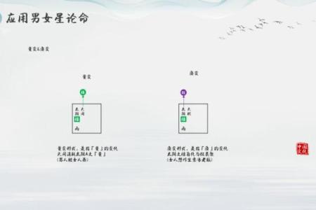 能嫁有钱老公的紫薇斗数女