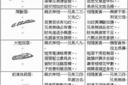 面相为什么断眉是富贵之相风水解答