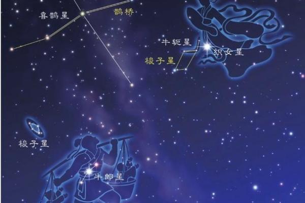 牛郎织女分别指哪两个星座女