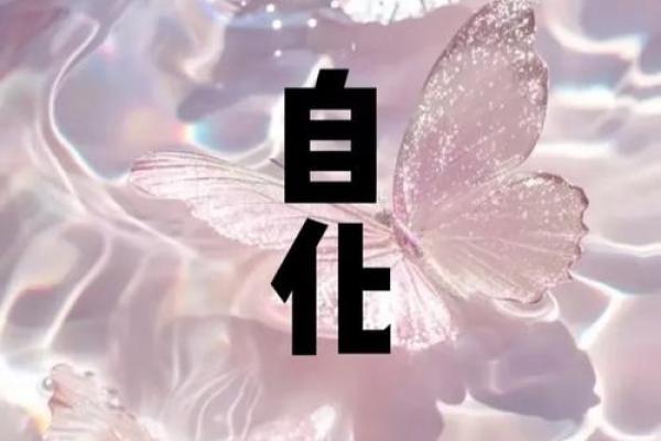天厨星紫薇斗数