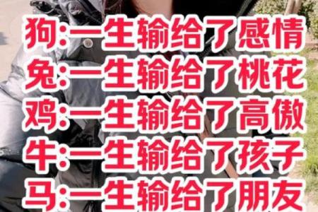 算命的说狗和猪好不好