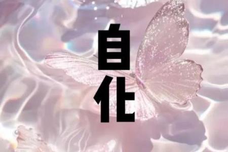 天厨星紫薇斗数