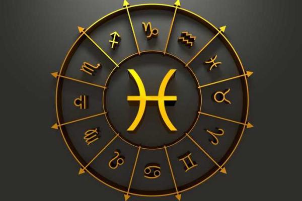 93鸡95猪八字合不合 比较相合的一对