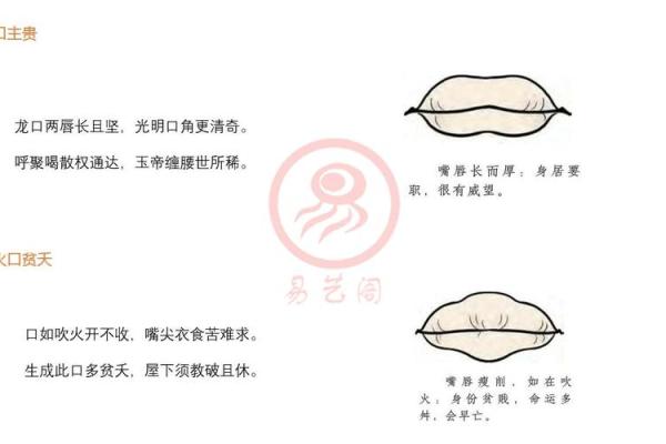 星座所主与断式口诀_六合