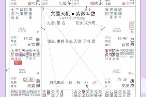 生辰紫微斗数 紫微斗数生辰八字？
