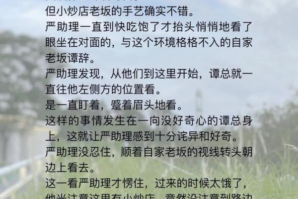 香港算命风水纪录片