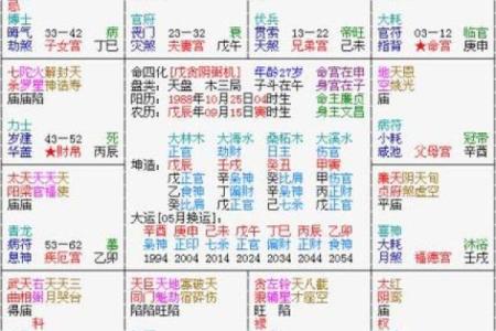 紫薇斗数中最重要的是身宫