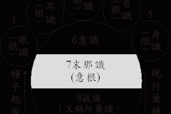 八字与六道