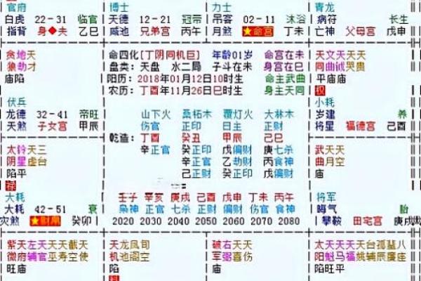 双星紫薇斗数