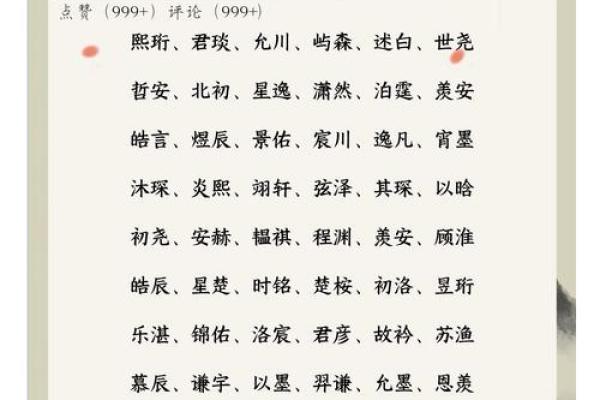 皮姓男孩名字大全-皮姓男孩起名字大全-皮姓名字大全姓名