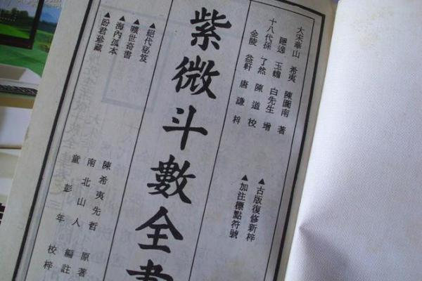 紫薇斗数网恋