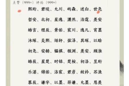 皮姓男孩名字大全-皮姓男孩起名字大全-皮姓名字大全姓名