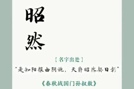 5月份出生的属蛇男孩该怎样取名字姓名