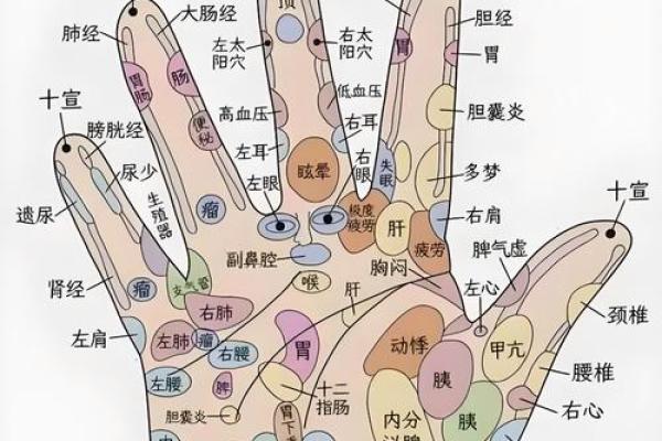 掌纹在线算命 掌纹在线算命