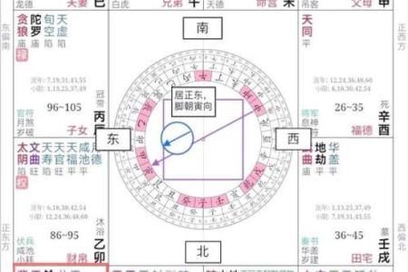 紫微斗数之夫妻宫与诸星,天梁星在夫妻宫是什么意思?