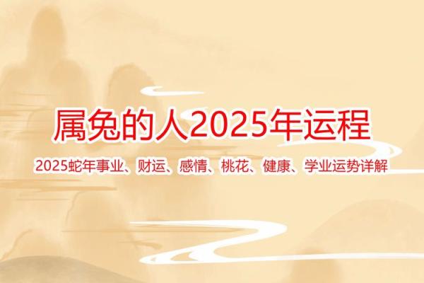 属兔的2025年_属兔的2025年多少周岁 属兔的2025年_属兔的2025年多少周岁