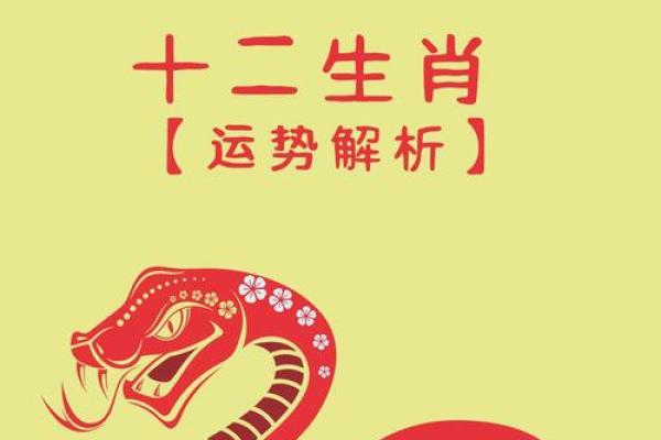 2025属兔人的全年运势_2025属兔人全年运势解析财运事业爱情全攻略 2025属兔人的全年运势_2025属兔人全年运势解析财运事业爱情全攻略