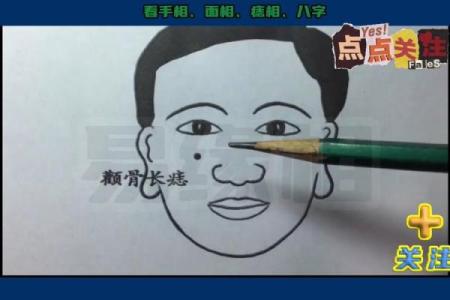 颧骨面相算命