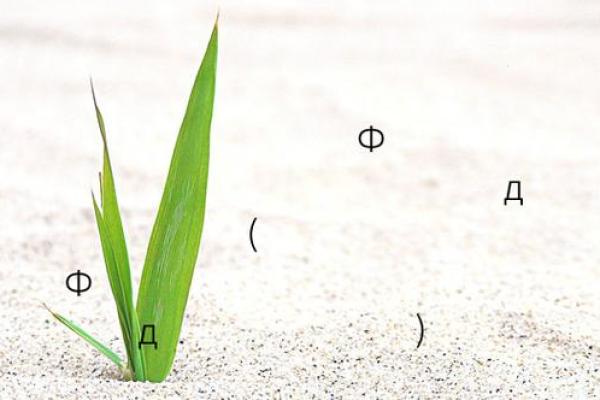 诸葛测字算命