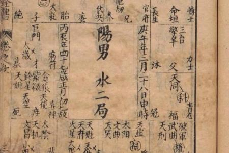 紫薇斗数进阶书